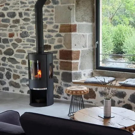 Holiday home Renove Avec Charme, Confort Moderne, Au Pied Du Puy Mary, Ideal Pour Randonnees Et Detente. - Fr-1-742-352